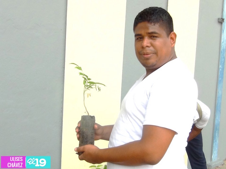 Estudiantes de INTECNA se suman a la campaña “Yo adopto un árbol por amor a Nicaragua”