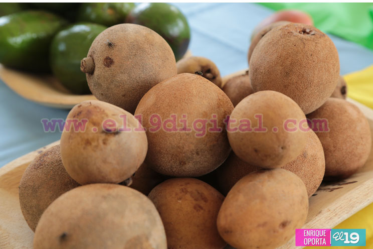 Productores de El Crucero celebran Feria de frutas no tradicionales