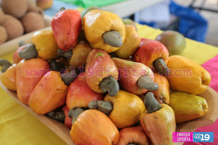 Productores de El Crucero celebran Feria de frutas no tradicionales