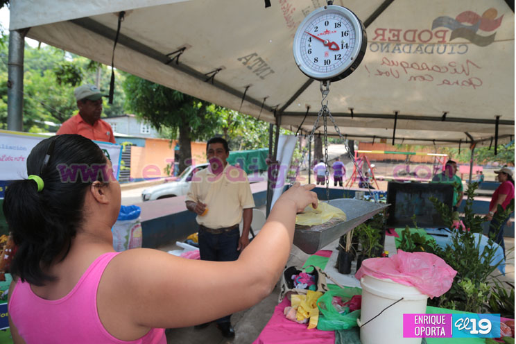 Productores de El Crucero celebran Feria de frutas no tradicionales