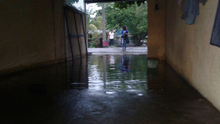 Cinco viviendas anegadas por lluvias en zona baja de León