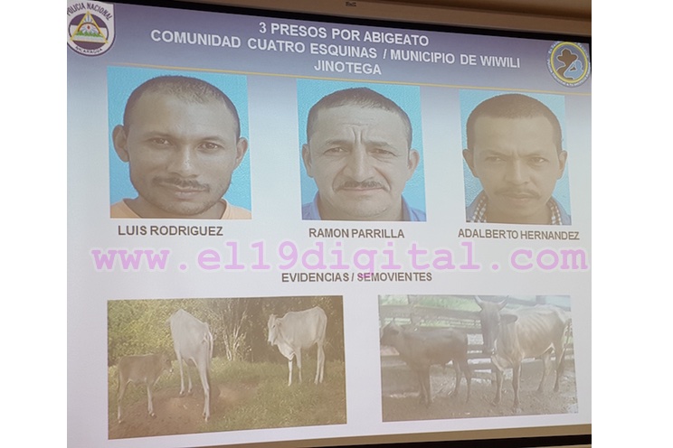 Policía Nacional fuerte contra el abigeato 
