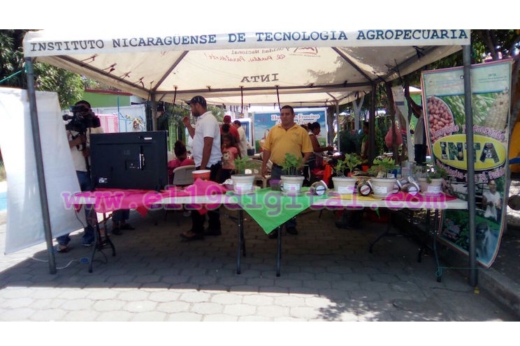 Celebran a las madres productoras de Mateare