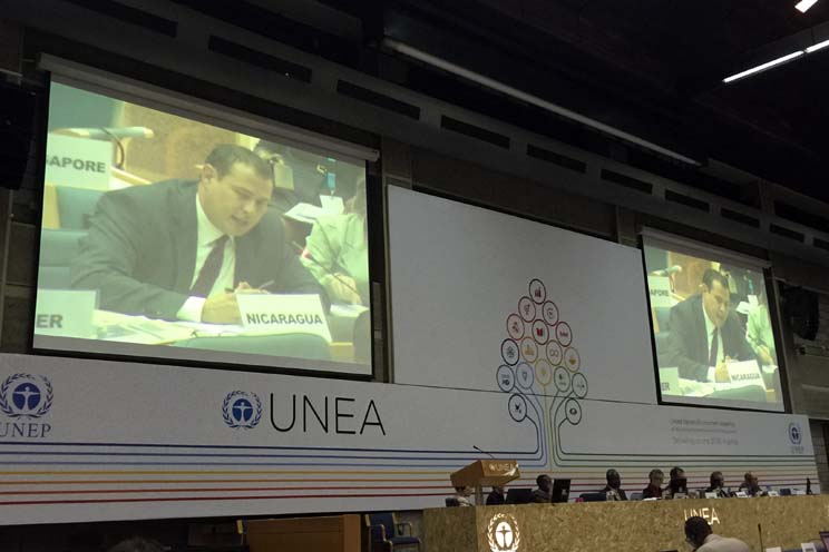 Nicaragua ratifica su alto compromiso ambiental en Segunda Asamblea de Naciones Unidas sobre Medio Ambiente 