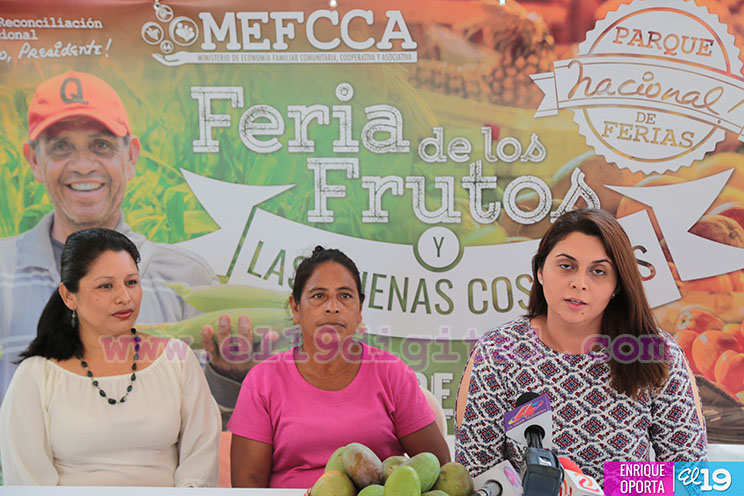 Visite los tiangues y grandes atractivos en la Avenida de Bolívar a Chávez