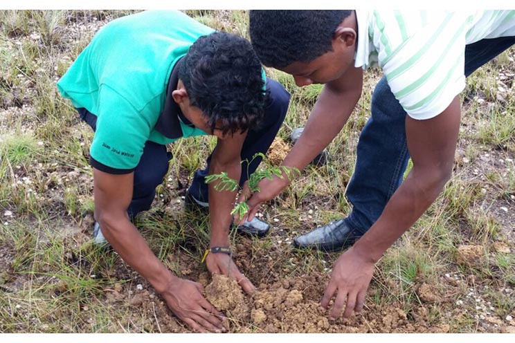 Promueven cultura de armonía con la Madre Tierra desde los colegios