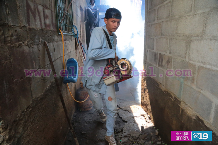 Fumigación domiciliar ha reducido índice de enfermedades en barrio Enrique Gutiérrez