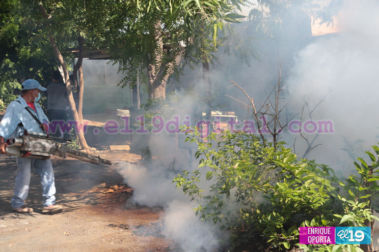 Redoblan esfuerzos para contrarrestar focos de mosquitos