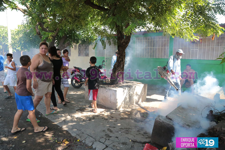 Redoblan esfuerzos para contrarrestar focos de mosquitos