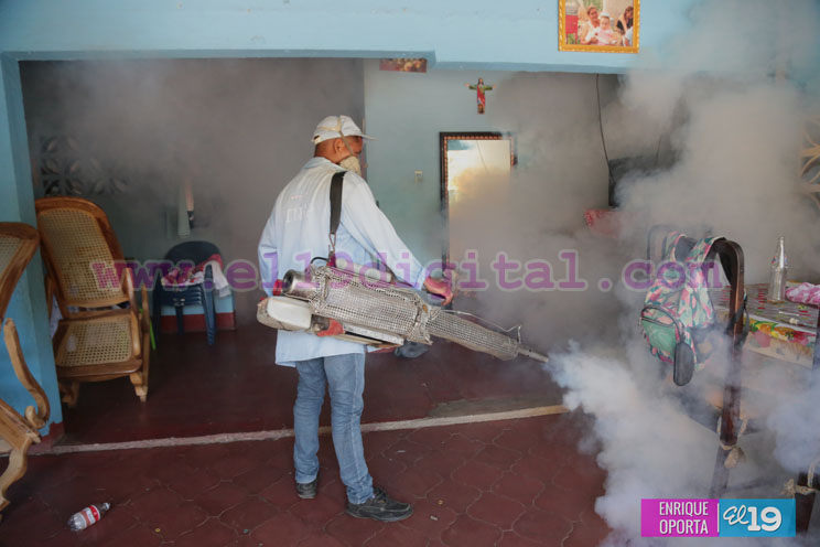 Redoblan esfuerzos para contrarrestar focos de mosquitos