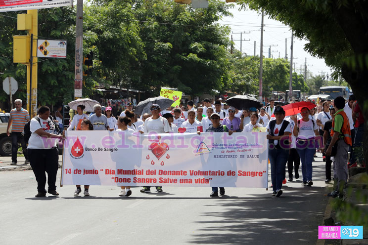 Celebran el Día Mundial del Donante de Sangre