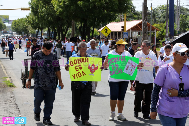 Celebran el Día Mundial del Donante de Sangre