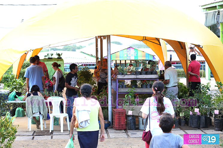 Conozca los sabores de la comida vegetariana y las especias en el Parque Nacional de Ferias