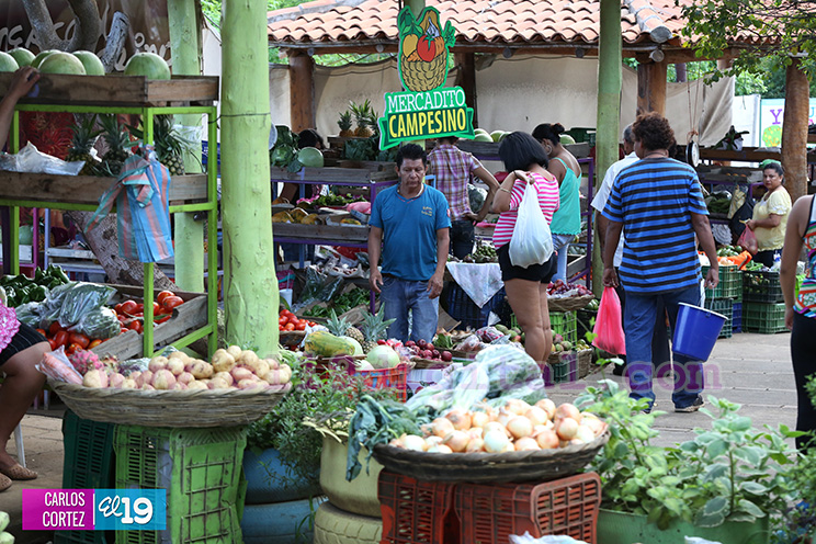 Conozca los sabores de la comida vegetariana y las especias en el Parque Nacional de Ferias