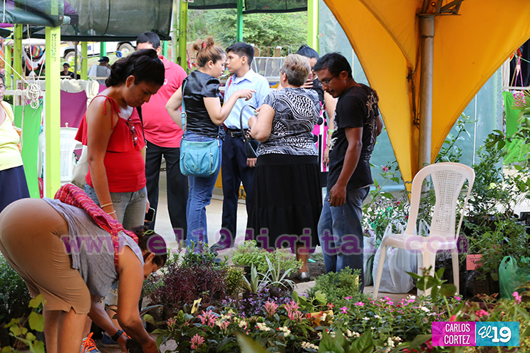 Conozca los sabores de la comida vegetariana y las especias en el Parque Nacional de Ferias