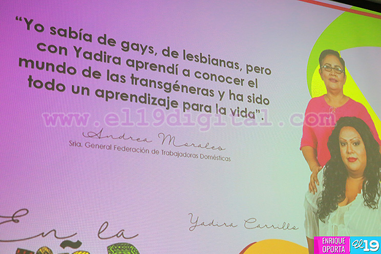 En la Viña del Señor: Buscan promover mayor información sobre la orientación sexual