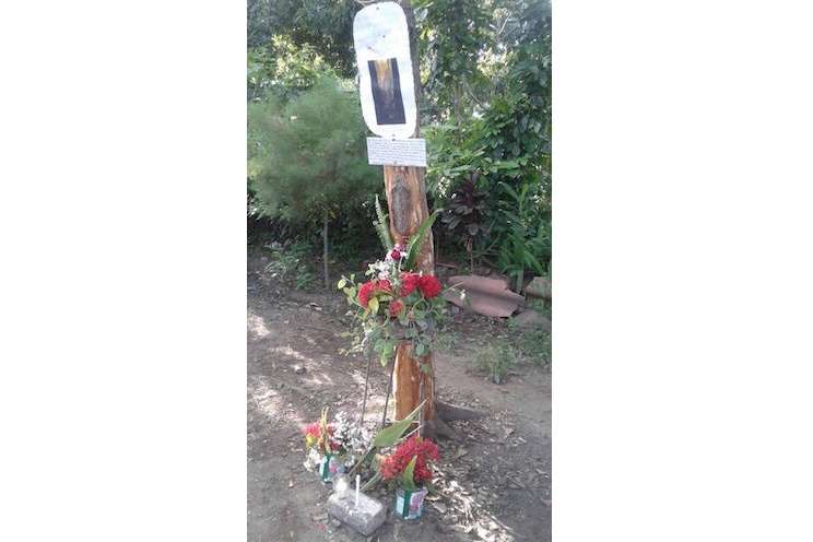 Aparece la Virgen de Guadalupe en corteza de un árbol en Estelí