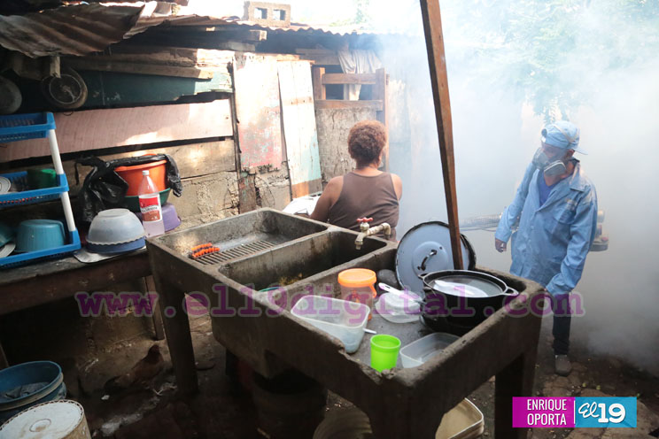 Intensa jornada de fumigación en Santa Ana Sur
