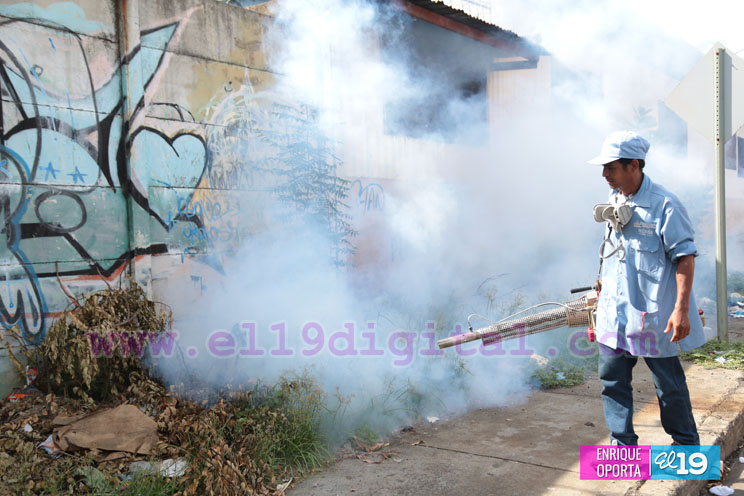Intensa jornada de fumigación en Santa Ana Sur