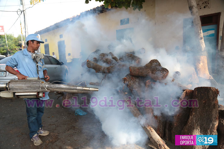Intensa jornada de fumigación en Santa Ana Sur