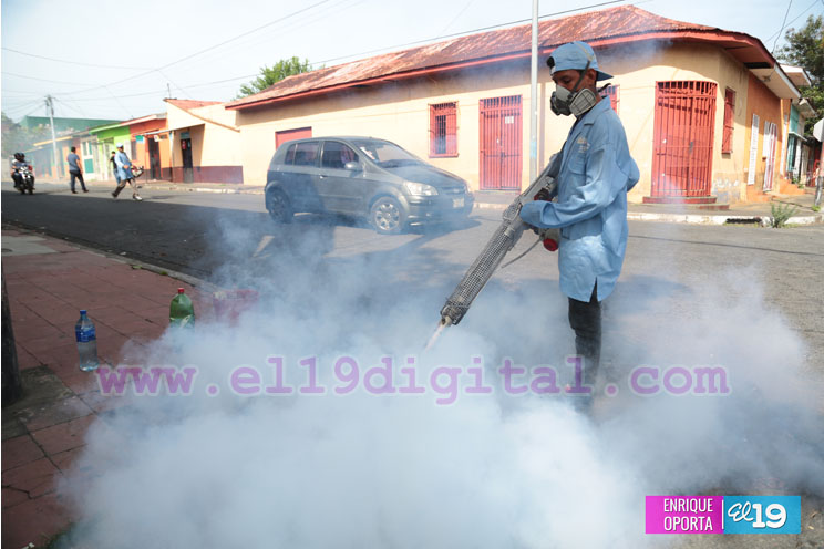 Intensa jornada de fumigación en Santa Ana Sur