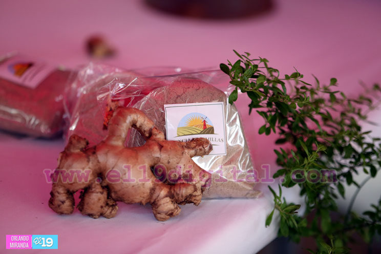 Familias aprenden sobre medicina natural en la feria de las infusiones, cocimientos y el jengibre