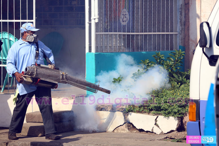 Familias del barrio Las Piedrecitas destacan efectividad en el proceso de fumigación domiciliar