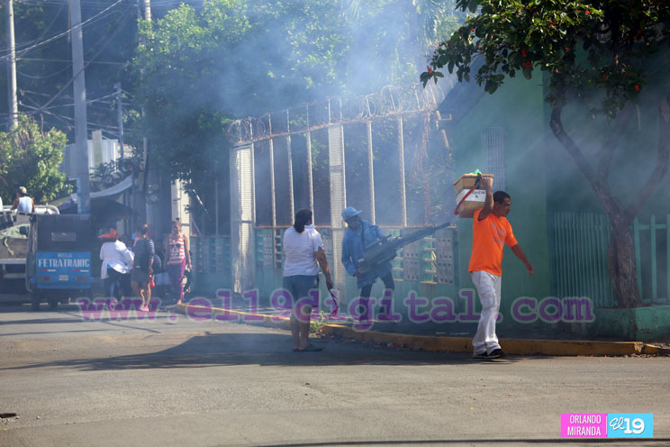 Familias del barrio Las Piedrecitas destacan efectividad en el proceso de fumigación domiciliar