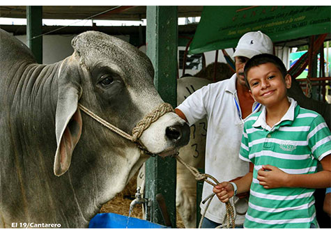 Familias disfrutan fin de semana en Expica 2013