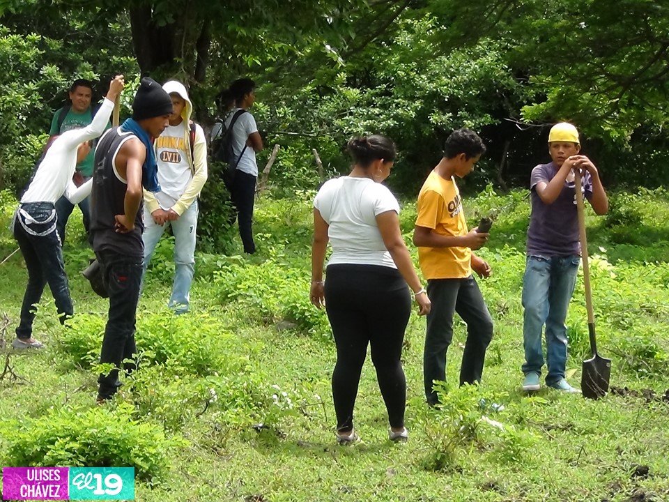 Juventud granadina realiza jornada de reforestación