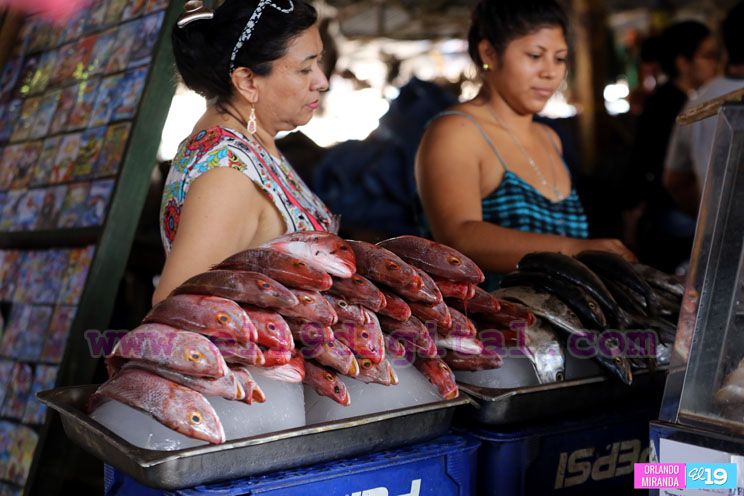 Precios en frutas y verduras se mantienen estables en el Mercado Israel Lewites