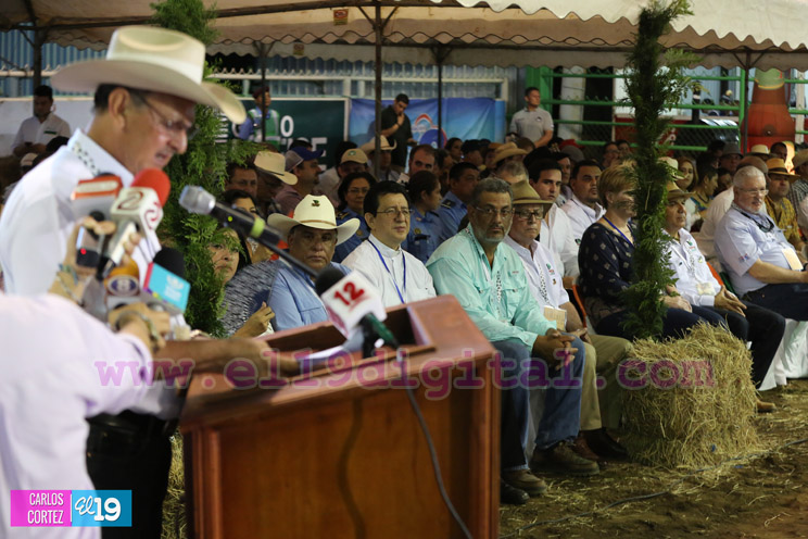 Arranca la XXIII edición de EXPICA, con los mejores exponentes pecuarios de la región