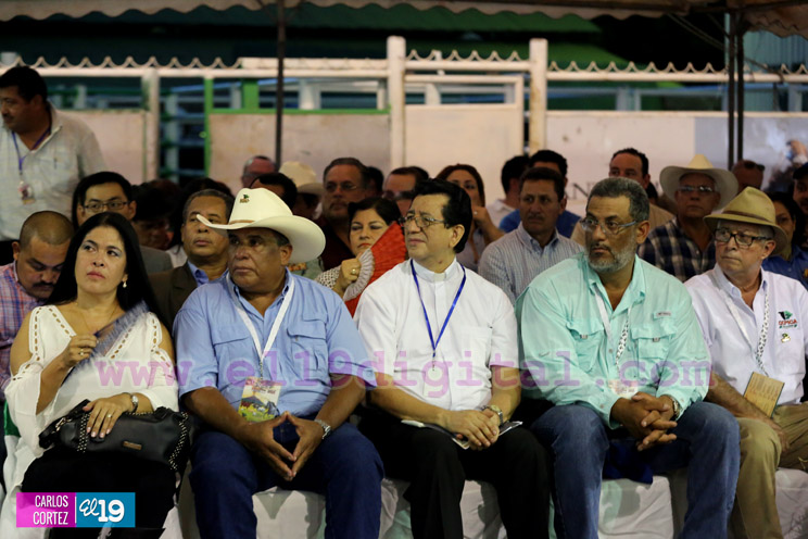 Arranca la XXIII edición de EXPICA, con los mejores exponentes pecuarios de la región