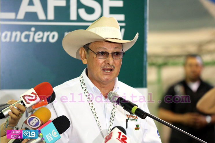 Arranca la XXIII edición de EXPICA, con los mejores exponentes pecuarios de la región