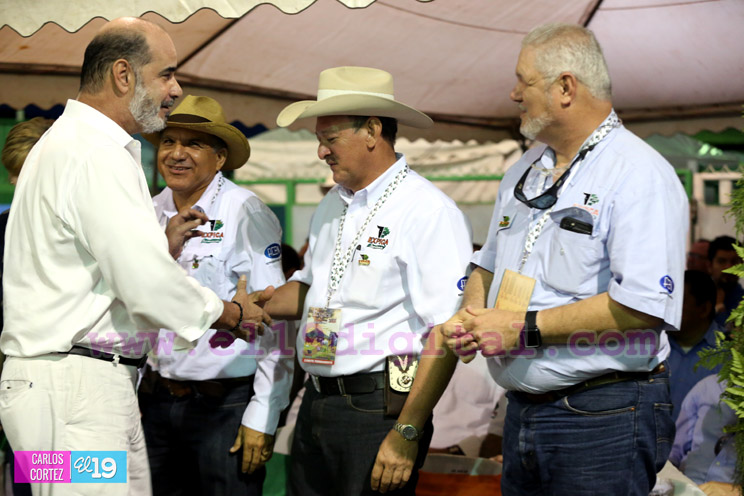 Arranca la XXIII edición de EXPICA, con los mejores exponentes pecuarios de la región