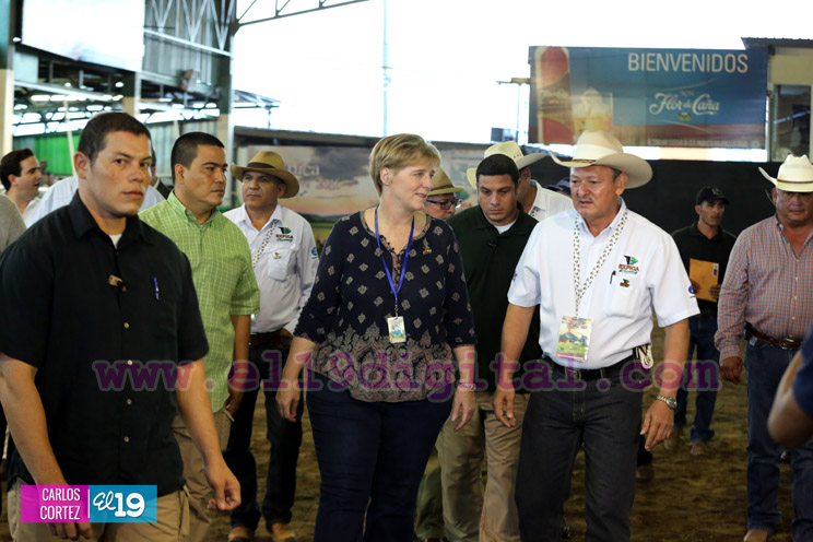 Arranca la XXIII edición de EXPICA, con los mejores exponentes pecuarios de la región