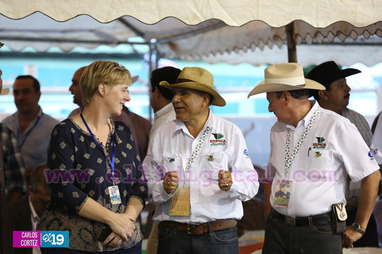 Arranca la XXIII edición de EXPICA, con los mejores exponentes pecuarios de la región