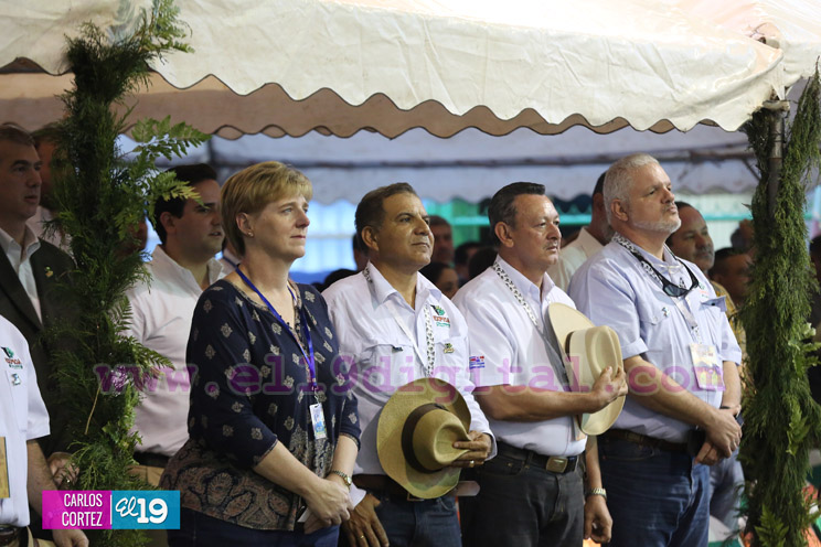 Arranca la XXIII edición de EXPICA, con los mejores exponentes pecuarios de la región
