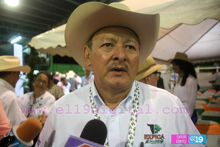 Arranca la XXIII edición de EXPICA, con los mejores exponentes pecuarios de la región