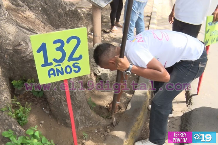 Movimiento Guardabarranco impulsa jornada "Árbol de mi Comunidad"