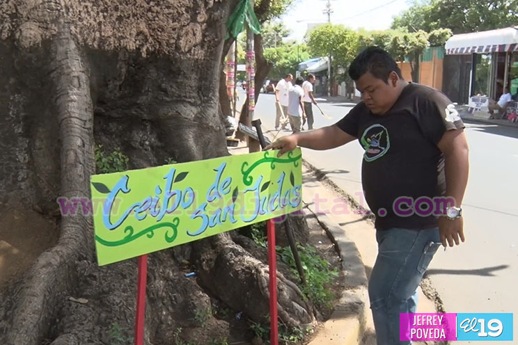Movimiento Guardabarranco impulsa jornada "Árbol de mi Comunidad"