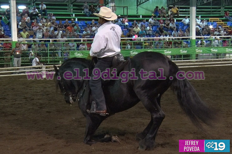 Majestuosa gala ecuestre en Feria Expica Permanente