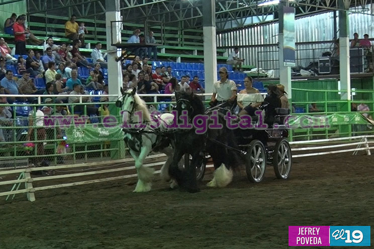 Majestuosa gala ecuestre en Feria Expica Permanente