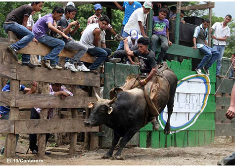 Montas de toros acompañan a las festividades de Santo Domingo