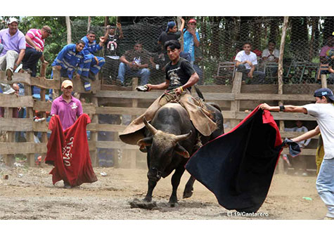 Montas de toros acompañan a las festividades de Santo Domingo