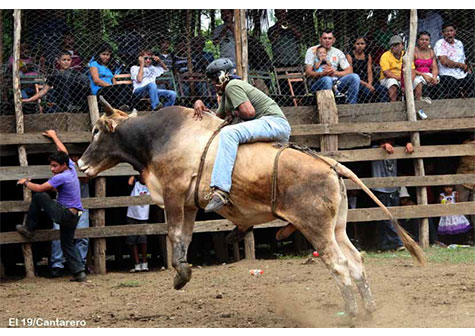 Montas de toros acompañan a las festividades de Santo Domingo
