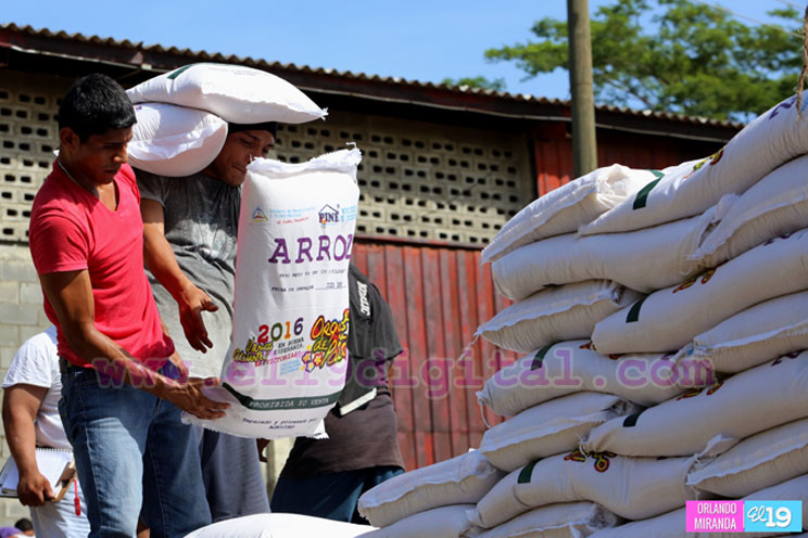 Inicia tercera distribución de la merienda escolar