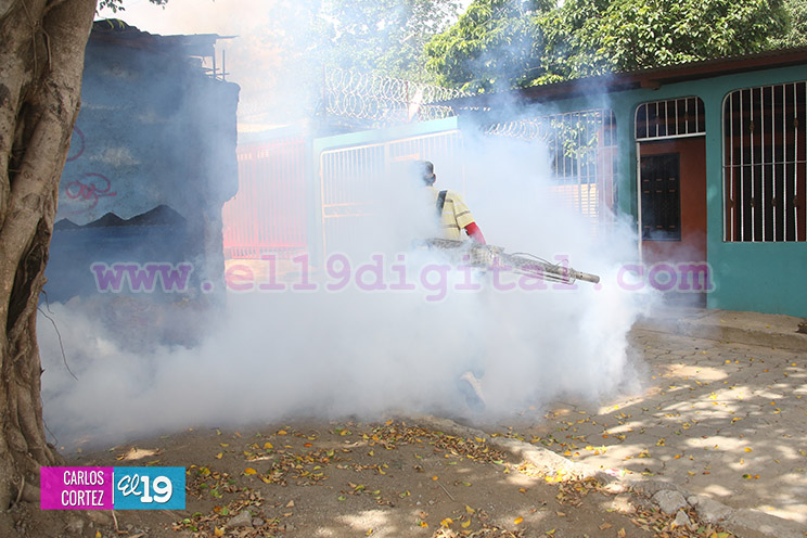 Fumigan viviendas en el barrio Augusto C. Sandino