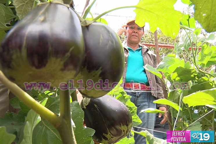 Facilitadores de Educación Técnica en el Campo son capacitados sobre Huertos Familiares