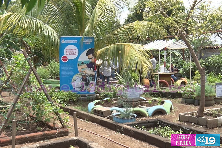 Facilitadores de Educación Técnica en el Campo son capacitados sobre Huertos Familiares